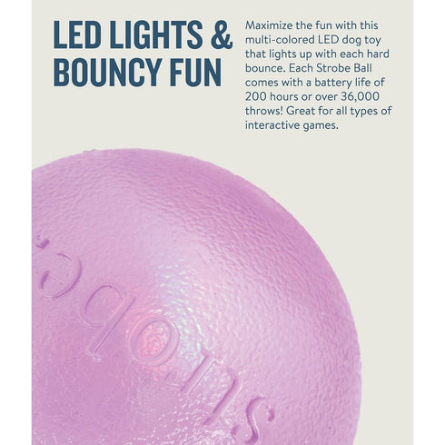 Planet Dog Orbee Strobe Ball Light Up LED Purple Dog Toy - Poudre Pet & Feed Supply 3